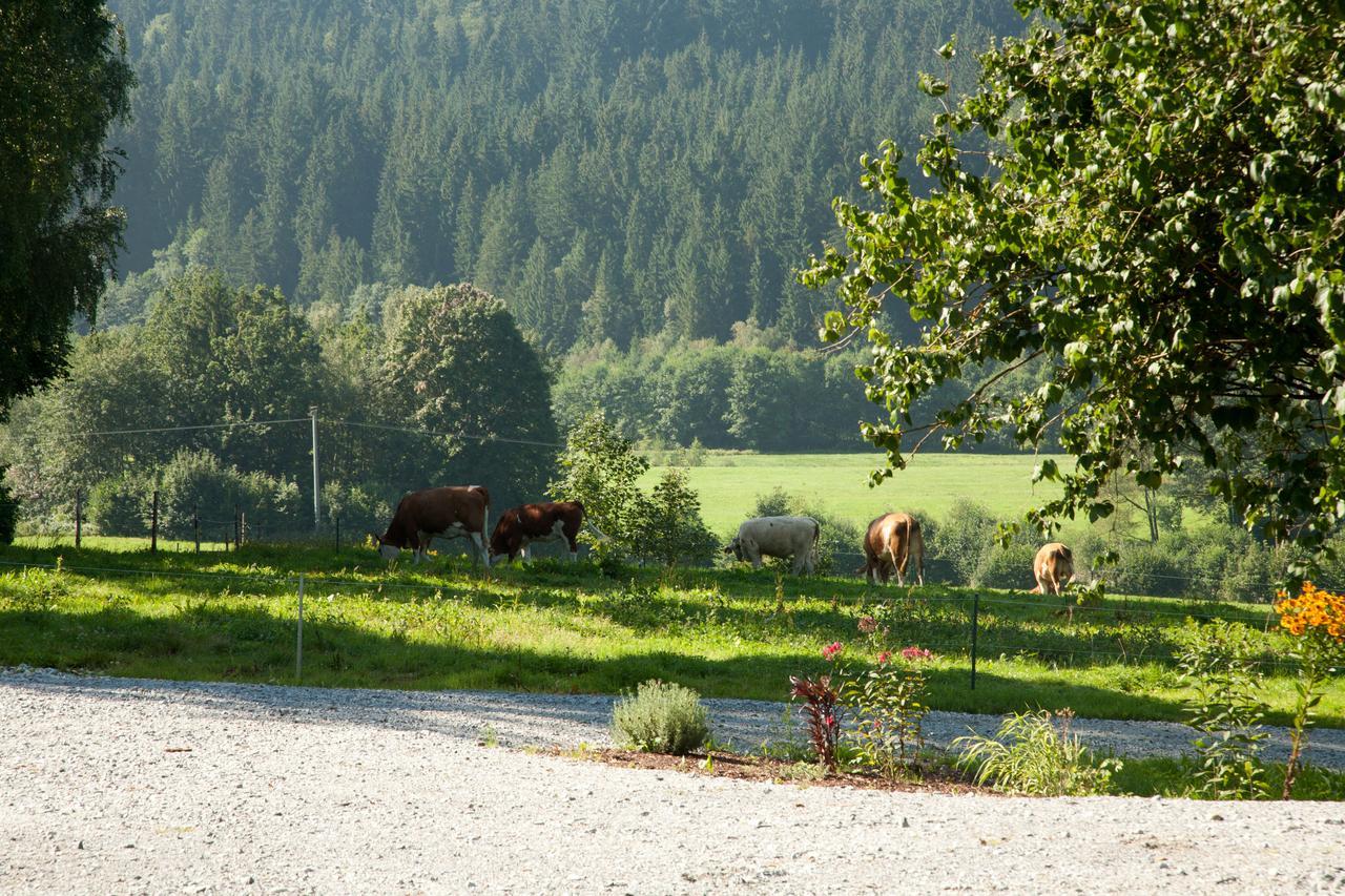 Landhotel Bayerwald Grafling Esterno foto